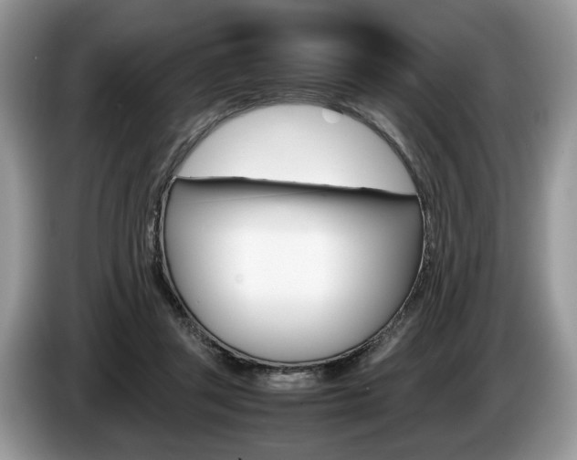 X0000087600357200704271047