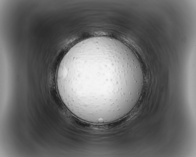 X0000087600359200704271047