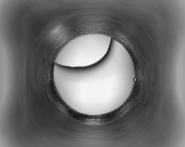 X0000087600362200704271047