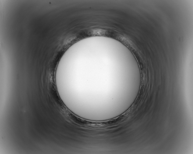 X0000087600363200704271047