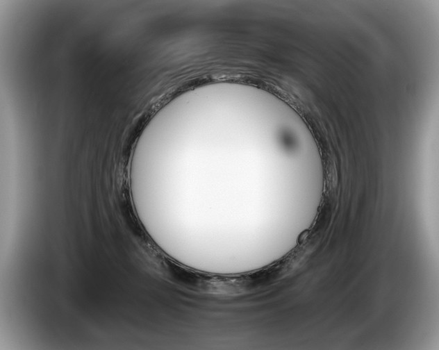 X0000087600367200704271047