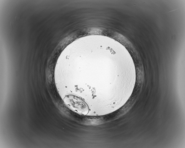 X0000087600370200704271047