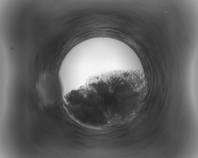 X0000087600381200704271047