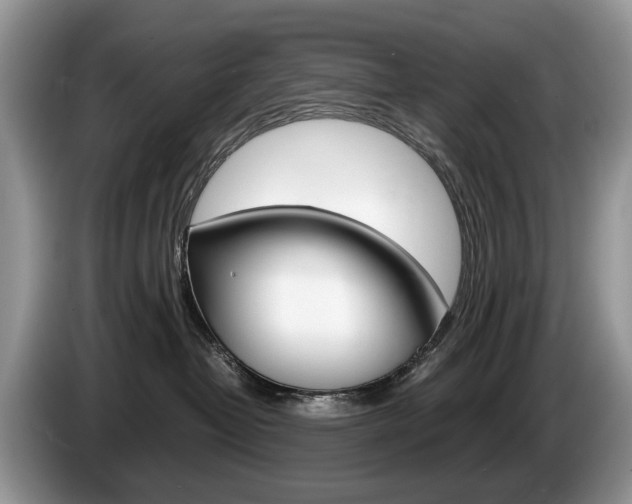 X0000087600382200704271047
