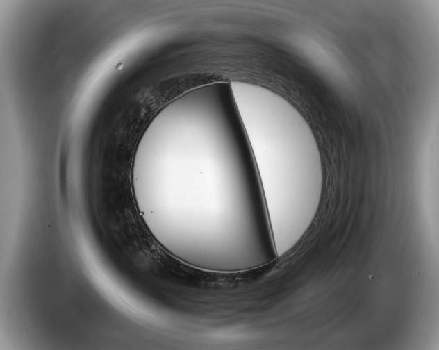 X0000087600383200704271047