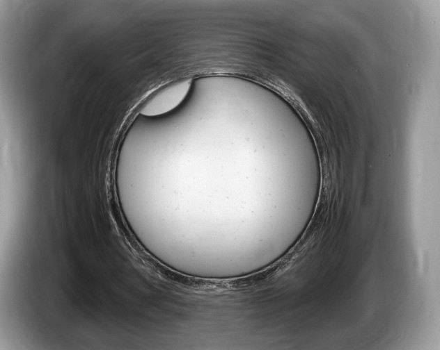 X0000087600386200704271047