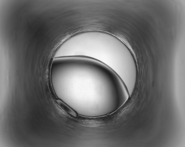 X0000087600389200704271047
