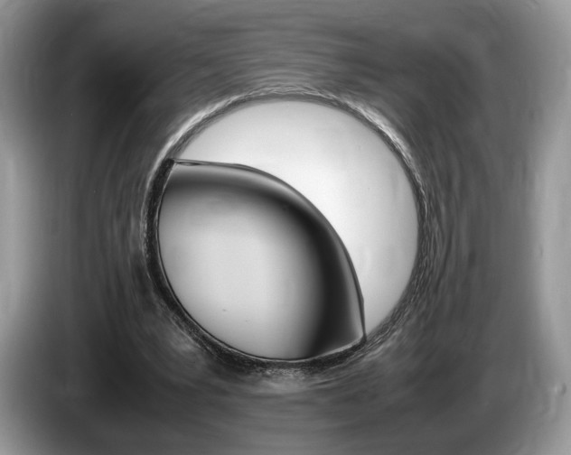 X0000087600391200704271047