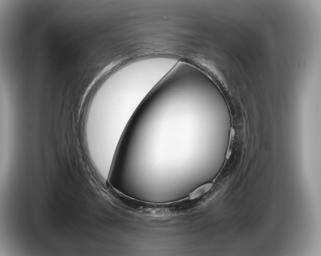 X0000087600395200704271047