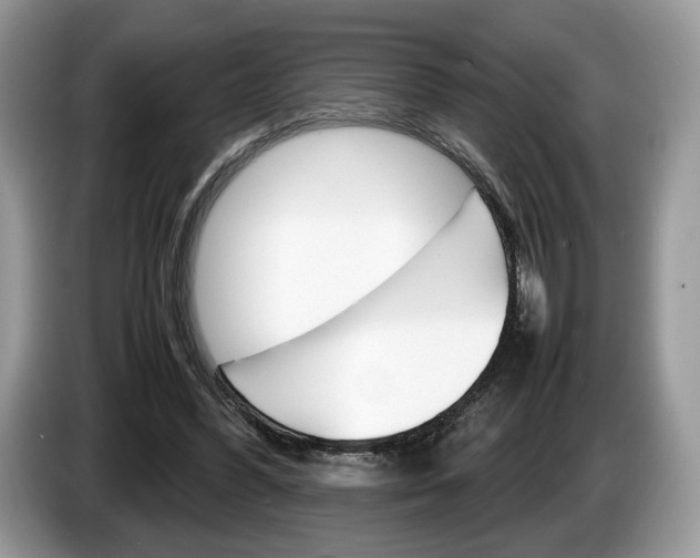 X0000087600396200704271047