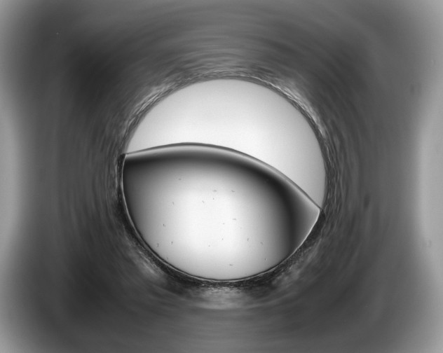 X0000087600397200704271047