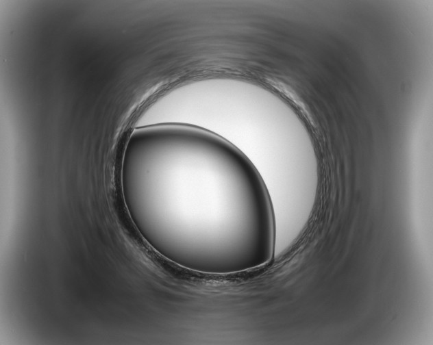 X0000087600399200704271047