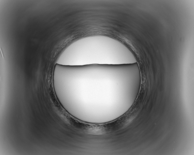 X0000087600402200704271047