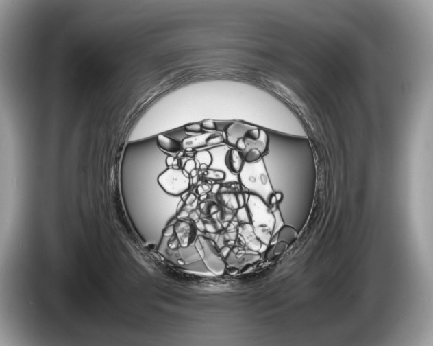 X0000087600405200704271047
