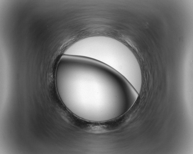 X0000087600407200704271047