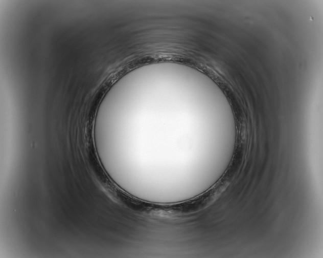 X0000087600408200704271046