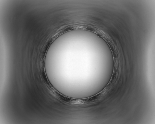 X0000087600409200704271046
