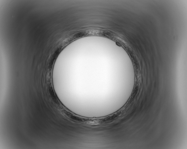 X0000087600411200704271046