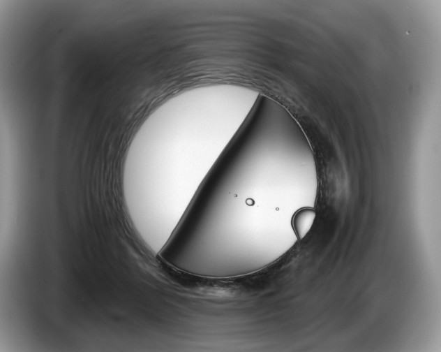 X0000087600412200704271046