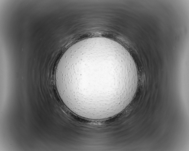 X0000087600418200704271046