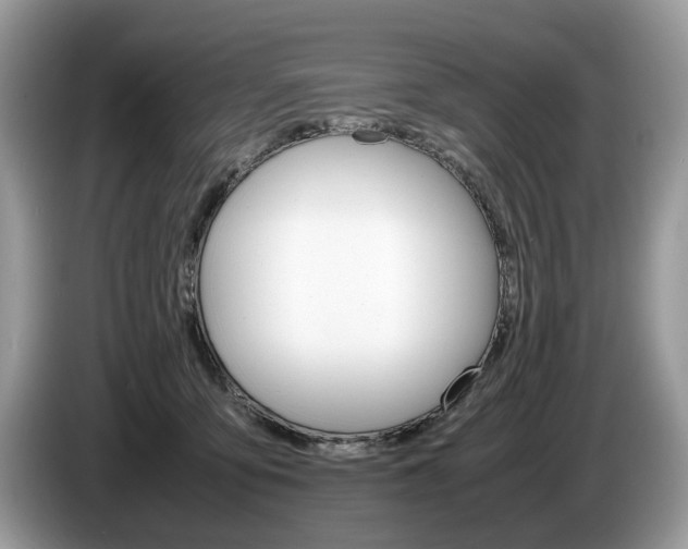 X0000087600419200704271046
