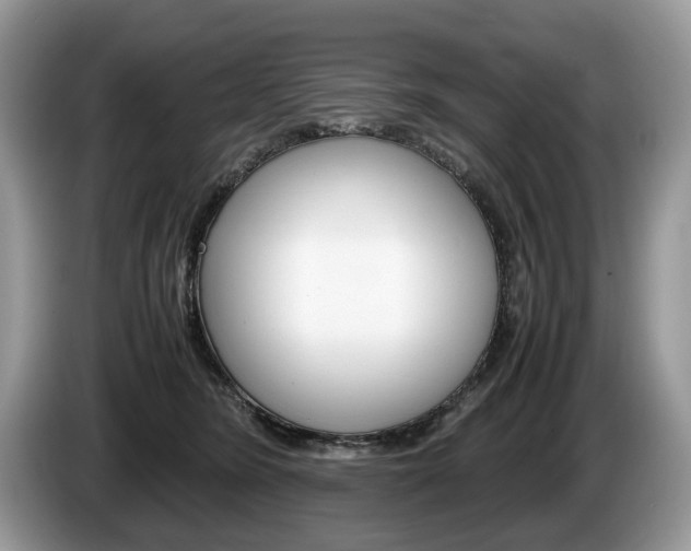 X0000087600420200704271046