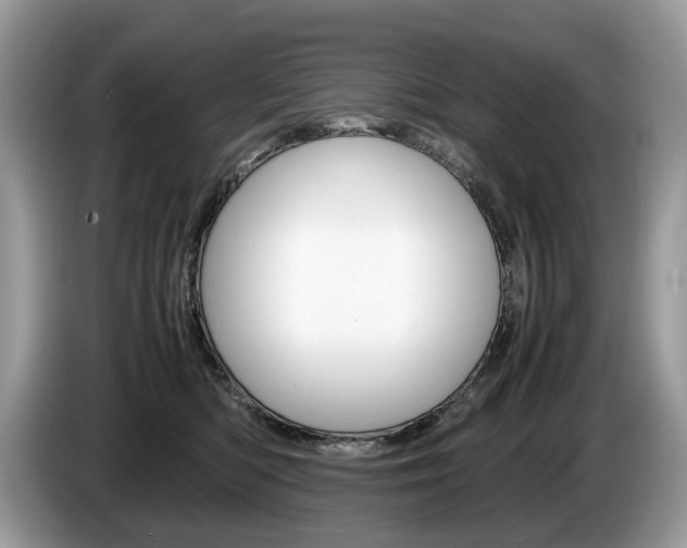 X0000087600422200704271046