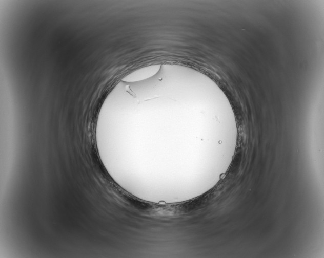 X0000087600423200704271046