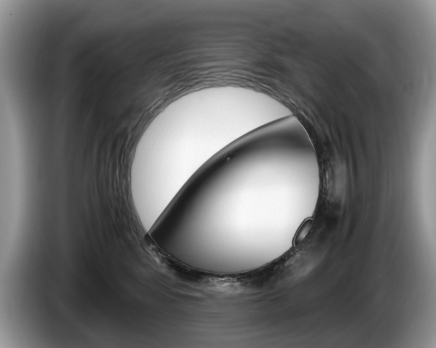 X0000087600424200704271046