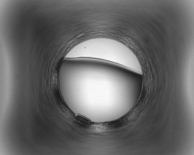 X0000087600425200704271046
