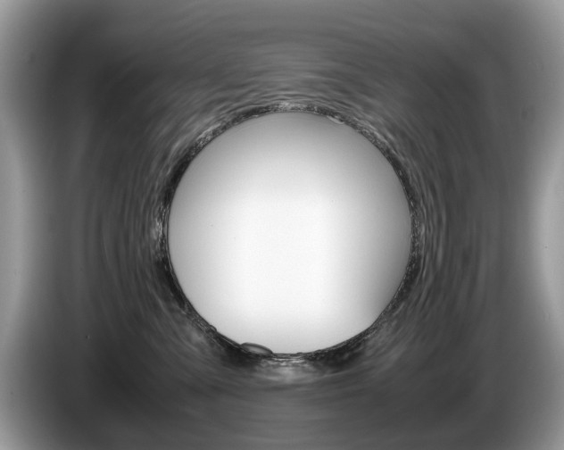 X0000087600427200704271046