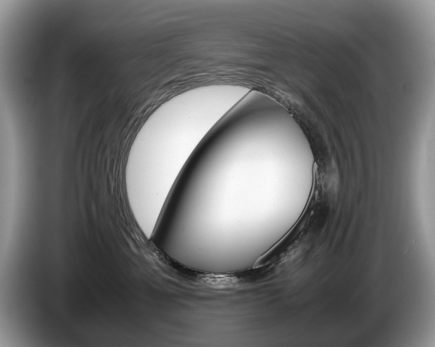 X0000087600429200704271046