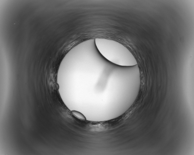 X0000087600430200704271046