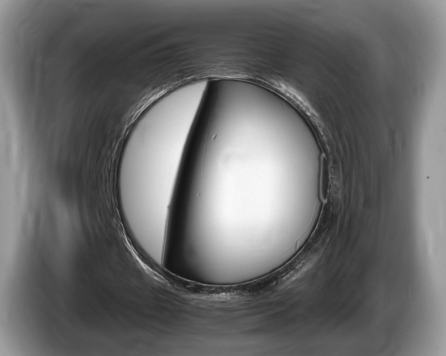 X0000087600433200704271046