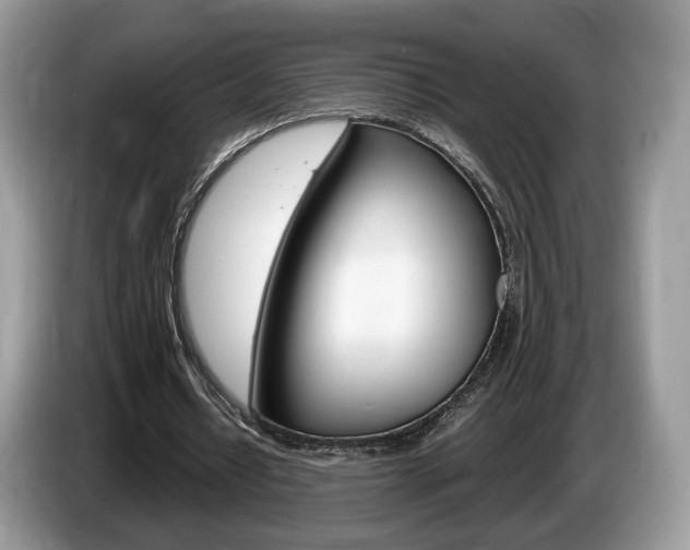 X0000087600434200704271046