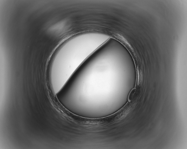 X0000087600435200704271046