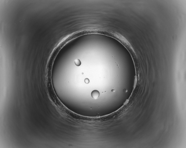 X0000087600436200704271046