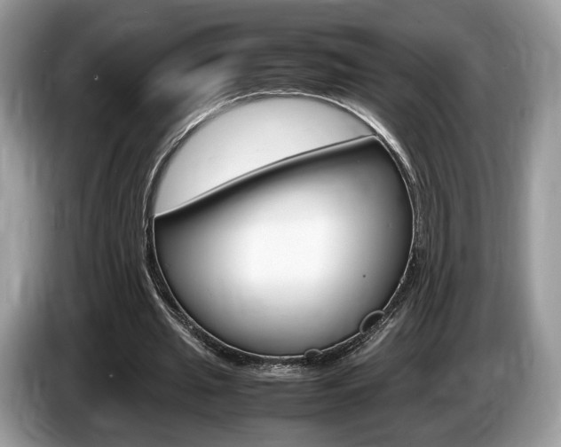 X0000087600437200704271046