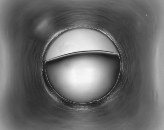 X0000087600438200704271046