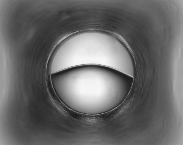X0000087600439200704271046