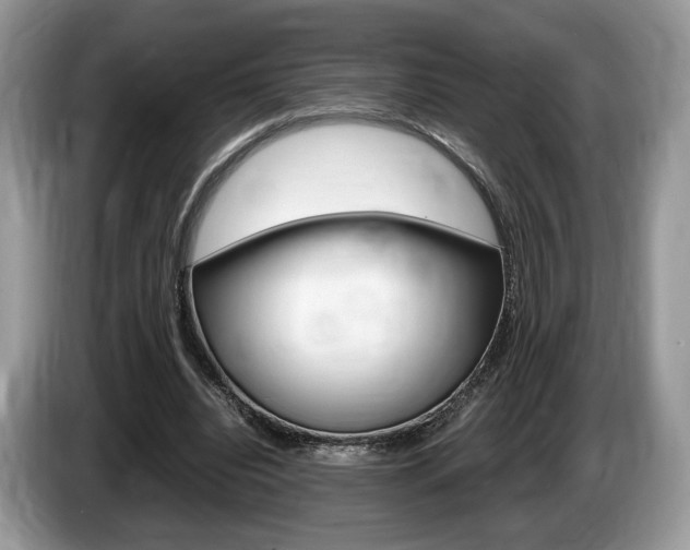 X0000087600440200704271046