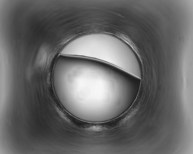 X0000087600441200704271046