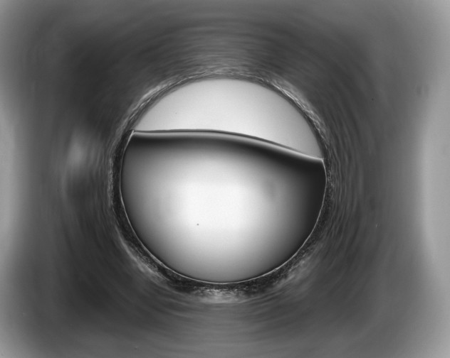 X0000087600442200704271046