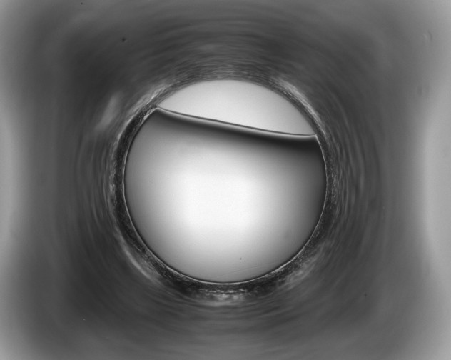 X0000087600443200704271046