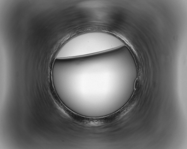 X0000087600445200704271046