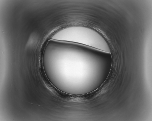 X0000087600446200704271046