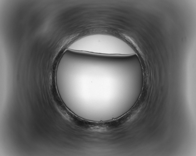 X0000087600447200704271046