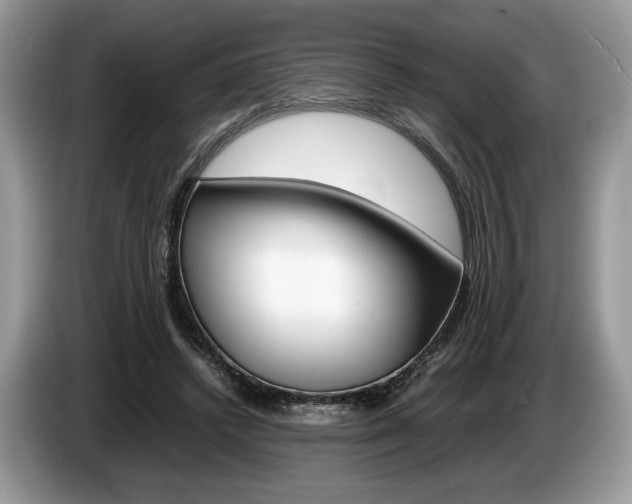 X0000087600448200704271046