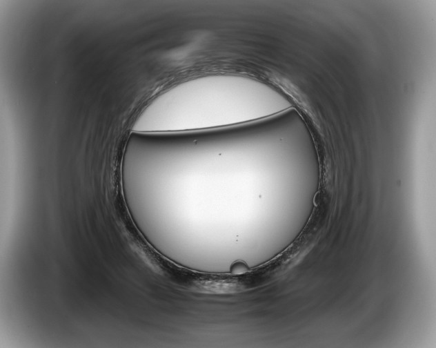 X0000087600449200704271046