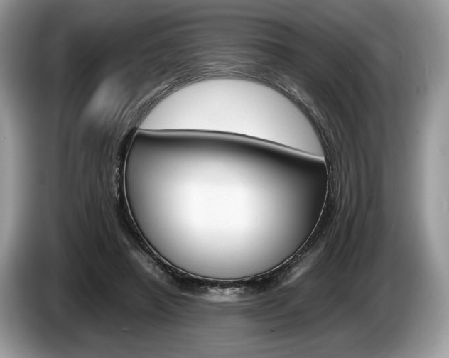X0000087600450200704271046